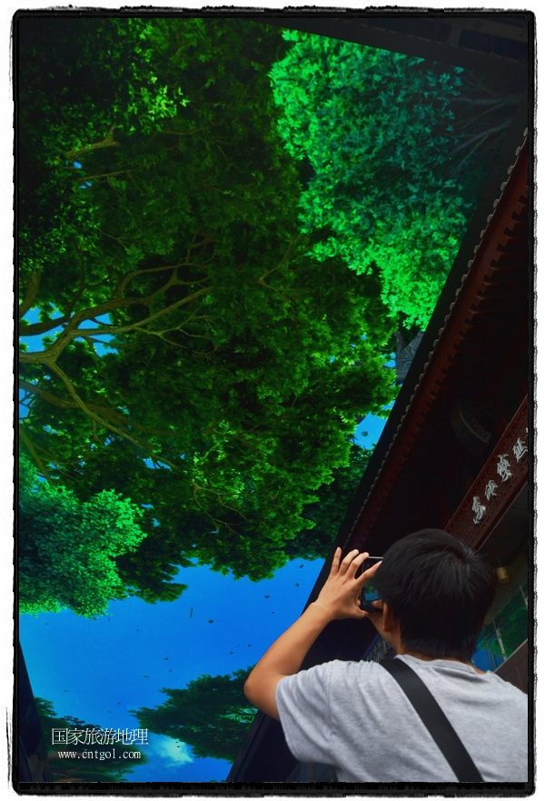 9月8日，在西安市大雁塔景區(qū)，“天幕”景觀吸引游客駐足觀看，并拿出手機(jī)拍攝。